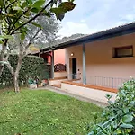 – Foyer Mare Daire *