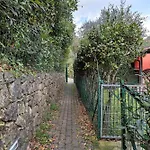 Daire – Foyer Mare *